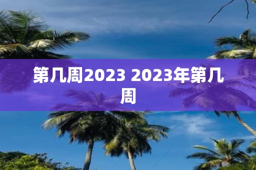 第几周2025 2025年第几周