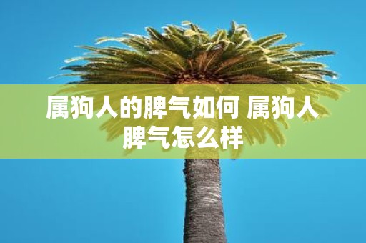 属狗人的脾气如何 属狗人脾气怎么样