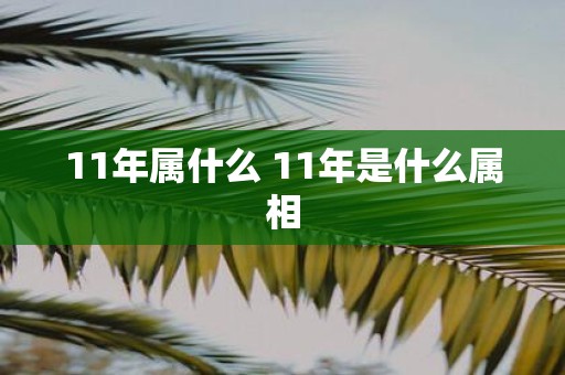 11年属什么 11年是什么属相