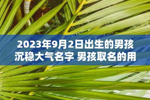 2025年9月2日出生的男孩沉稳大气名字 男孩取名的用字分享