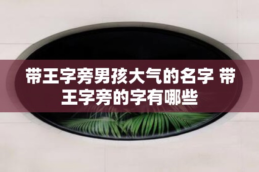 带王字旁男孩大气的名字 带王字旁的字有哪些