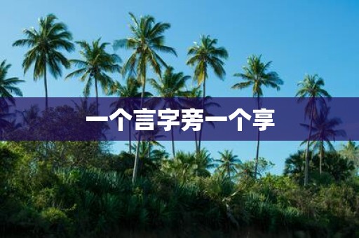 一个言字旁一个享