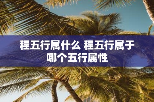 程五行属什么 程五行属于哪个五行属性