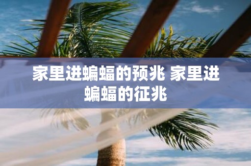 家里进蝙蝠的预兆 家里进蝙蝠的征兆
