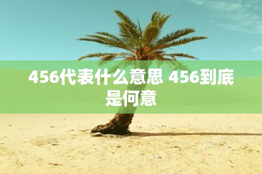 456代表什么意思 456到底是何意