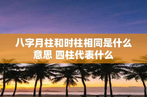 八字月柱和时柱相同是什么意思 四柱代表什么