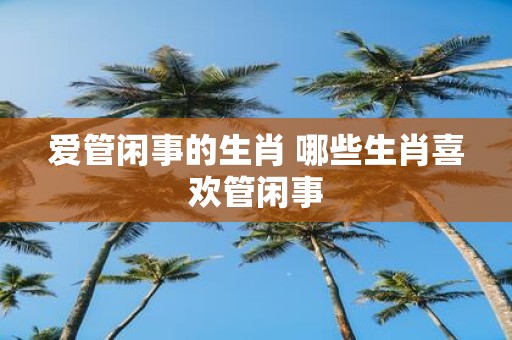 爱管闲事的生肖 哪些生肖喜欢管闲事