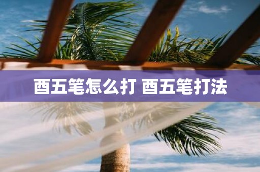 酉五笔怎么打 酉五笔打法