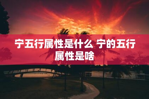 宁五行属性是什么 宁的五行属性是啥