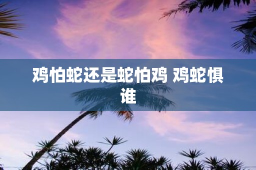 鸡怕蛇还是蛇怕鸡 鸡蛇惧谁