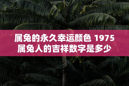 属兔的永久幸运颜色 1975属兔人的吉祥数字是多少