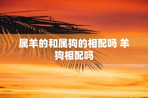 属羊的和属狗的相配吗 羊狗相配吗