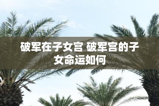 破军在子女宫 破军宫的子女命运如何