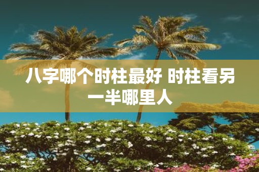 八字哪个时柱最好 时柱看另一半哪里人