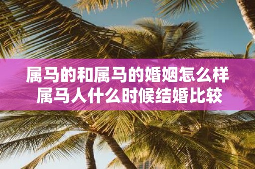 属马的和属马的婚姻怎么样 属马人什么时候结婚比较好