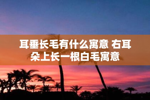耳垂长毛有什么寓意 右耳朵上长一根白毛寓意