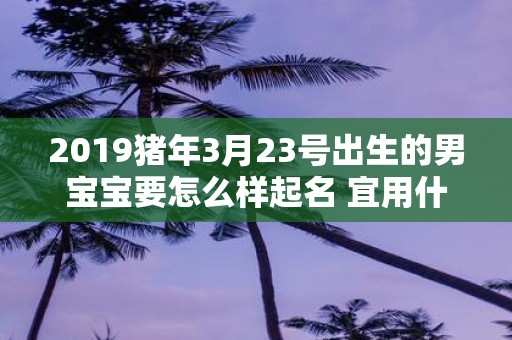 2019猪年3月23号出生的男宝宝要怎么样起名 宜用什么字