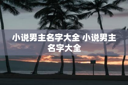 小说男主名字大全 小说男主名字大全
