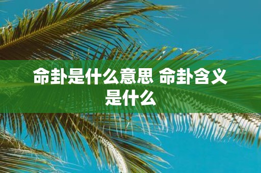 命卦是什么意思 命卦含义是什么