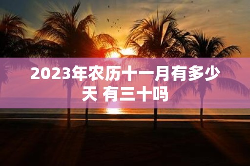 2025年农历十一月有多少天 有三十吗