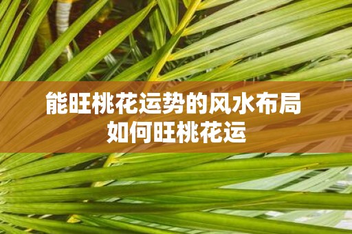 能旺桃花运势的风水布局 如何旺桃花运 能旺桃花运势的风水布局 如何旺桃花运