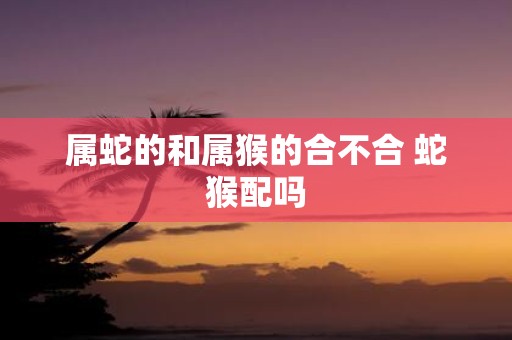 属蛇的和属猴的合不合 蛇猴配吗