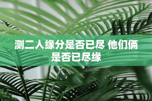 测二人缘分是否已尽 他们俩是否已尽缘