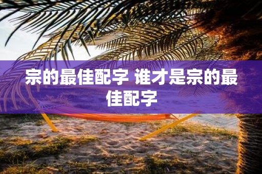 宗的最佳配字 谁才是宗的最佳配字