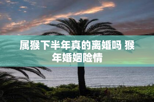 属猴下半年真的离婚吗 猴年婚姻险情