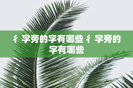 彳字旁的字有哪些 彳字旁的字有哪些