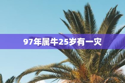 97年属牛25岁有一灾