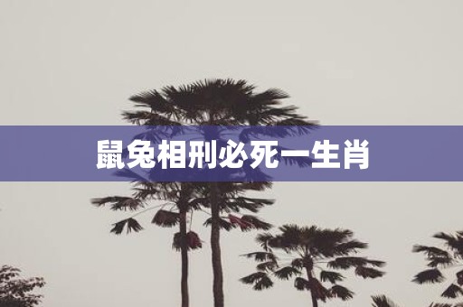 鼠兔相刑必死一生肖