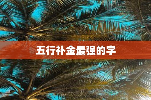 五行补金最强的字