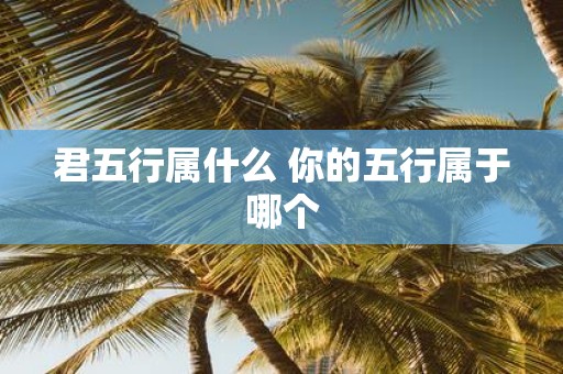 君五行属什么 你的五行属于哪个