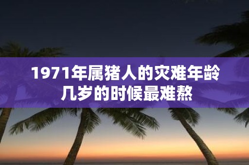 1971年属猪人的灾难年龄 几岁的时候最难熬