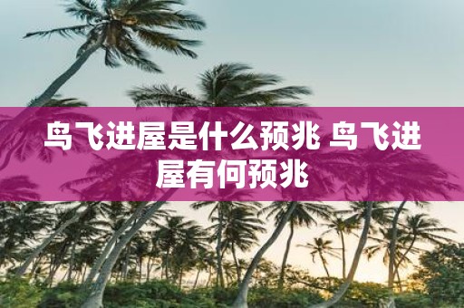 鸟飞进屋是什么预兆 鸟飞进屋有何预兆