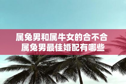 属兔男和属牛女的合不合 属兔男最佳婚配有哪些