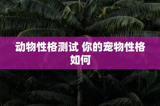 动物性格测试 你的宠物性格如何