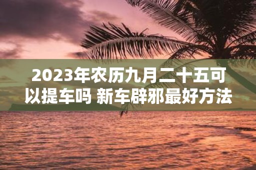 2025年农历九月二十五可以提车吗 新车辟邪最好方法