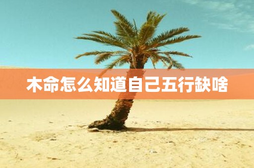 木命怎么知道自己五行缺啥