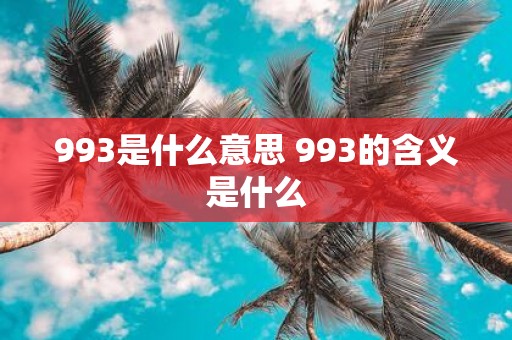993是什么意思 993的含义是什么