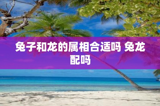 兔子和龙的属相合适吗 兔龙配吗