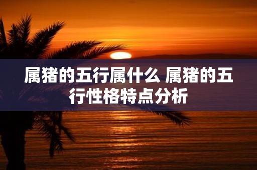 属猪的五行属什么 属猪的五行性格特点分析