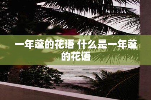一年蓬的花语 什么是一年蓬的花语