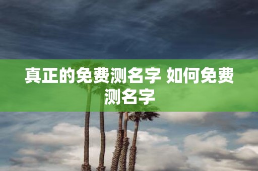 真正的免费测名字 如何免费测名字