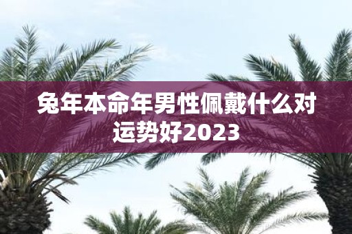 蛇年本命年男性佩戴什么对运势好2025