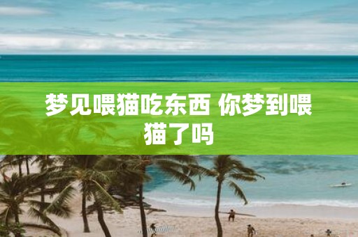 梦见喂猫吃东西 你梦到喂猫了吗