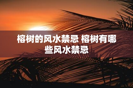 榕树的风水禁忌 榕树有哪些风水禁忌