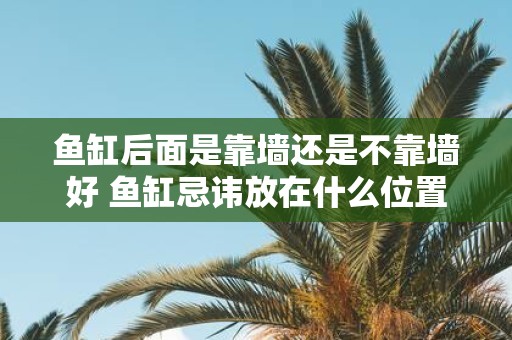 鱼缸后面是靠墙还是不靠墙好 鱼缸忌讳放在什么位置