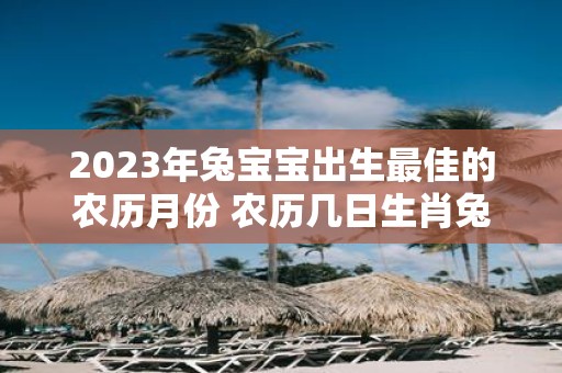2025年兔宝宝出生最佳的农历月份 农历几日生肖兔命薄